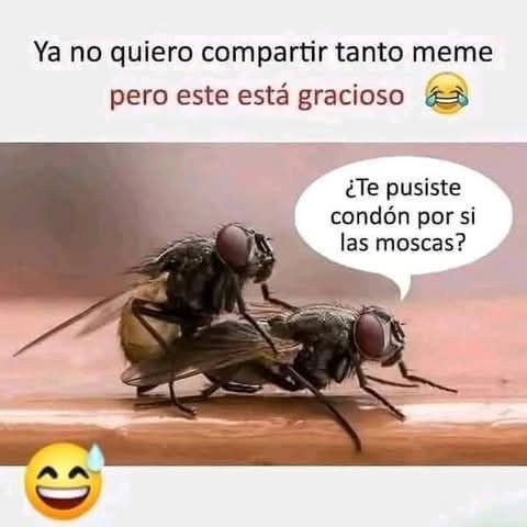 FB_IMG_1734898379126