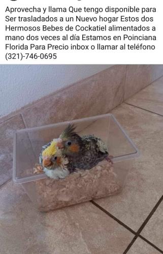 FB_IMG_1733156319027