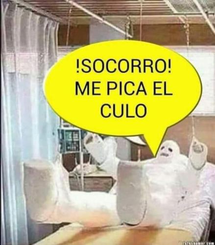 FB_IMG_1733337671066