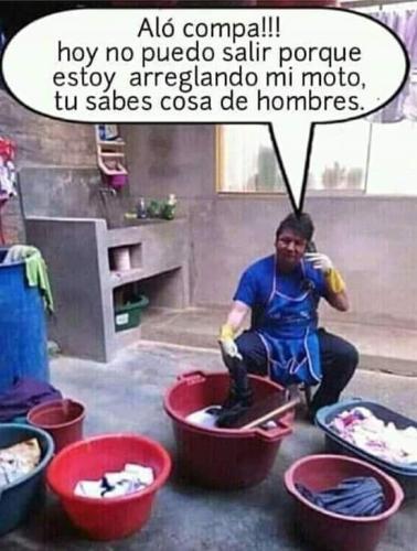 FB_IMG_1733374157667