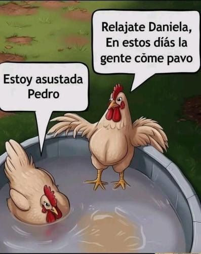 FB_IMG_1734913095348