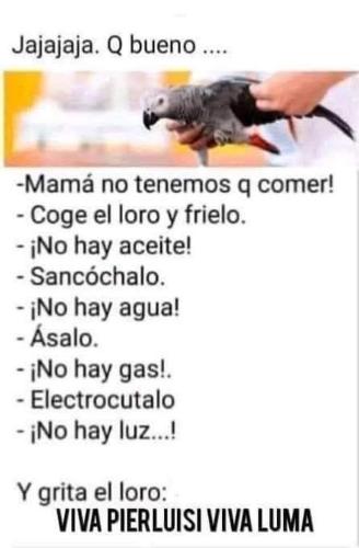FB_IMG_1733610229186