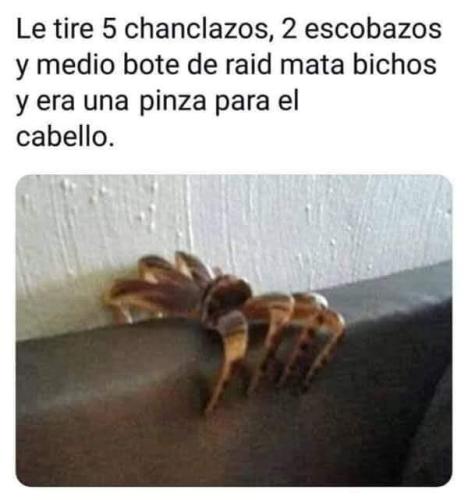 FB_IMG_1733111329858