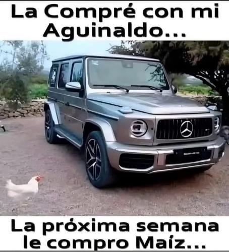 FB_IMG_1734735232491