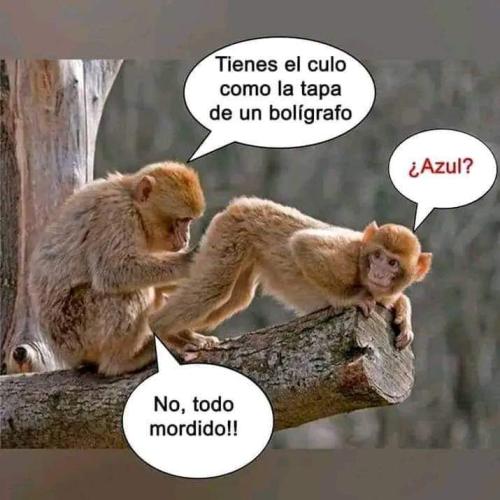 FB_IMG_1733167769679