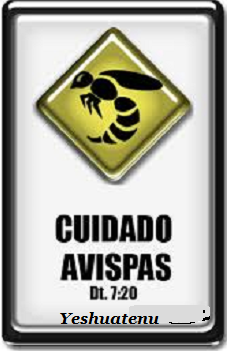 avispas