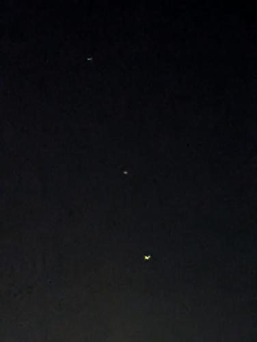 1000051351