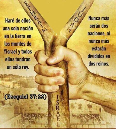 10 tribus