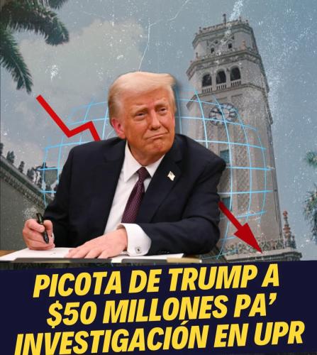 FB_IMG_1739321480578