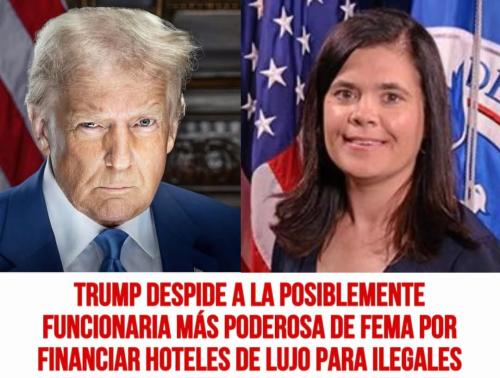 FB_IMG_1739310625826