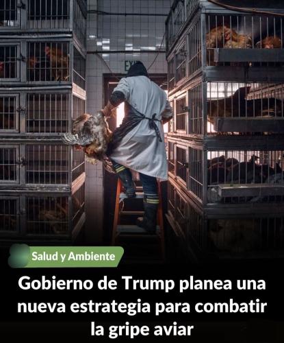FB_IMG_1739927325627