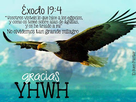 ÉXODO 19.4