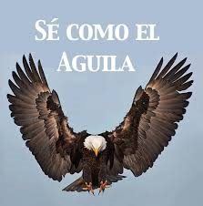 aguila