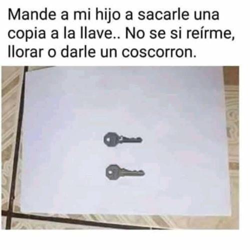 FB_IMG_1741306956640