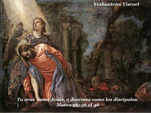 oraciones grandes