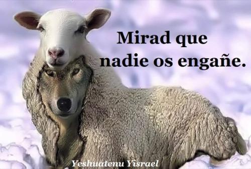 MIRAD QUE NADIE