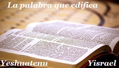 la palabra que edifica