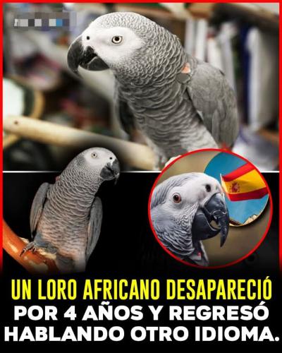 FB_IMG_1748989239024