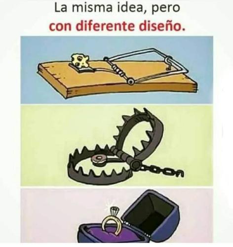 FB_IMG_1750252711275