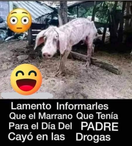 Screenshot_20250615_192248_Facebook