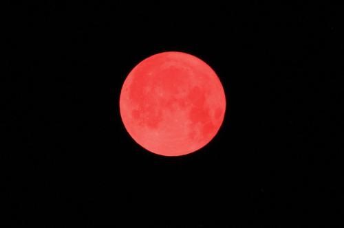 StrawberryMoon2025_003