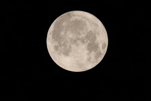 StrawberryMoon2025_002