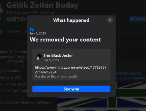 facebbokmoronremove