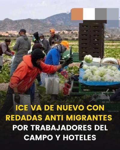 FB_IMG_1750186491229