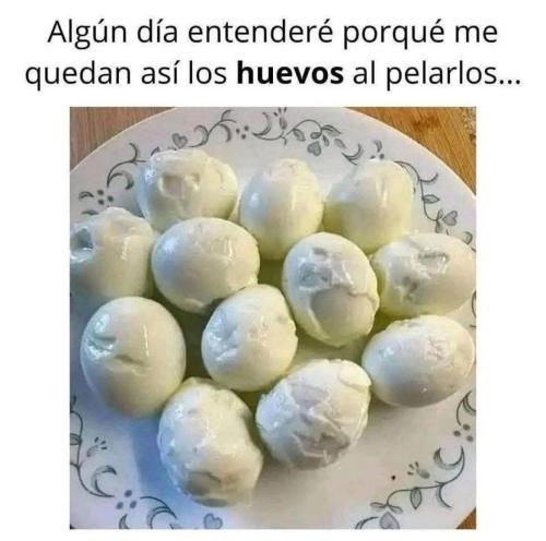 FB_IMG_1750909256659