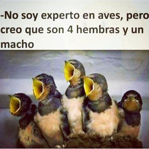 FB_IMG_1750707562825