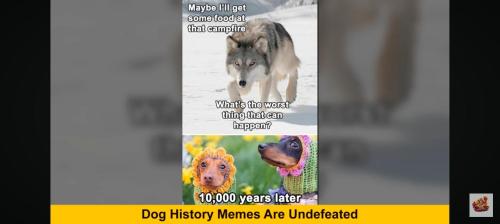 20250623_222806862