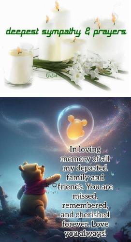 sympathy 1