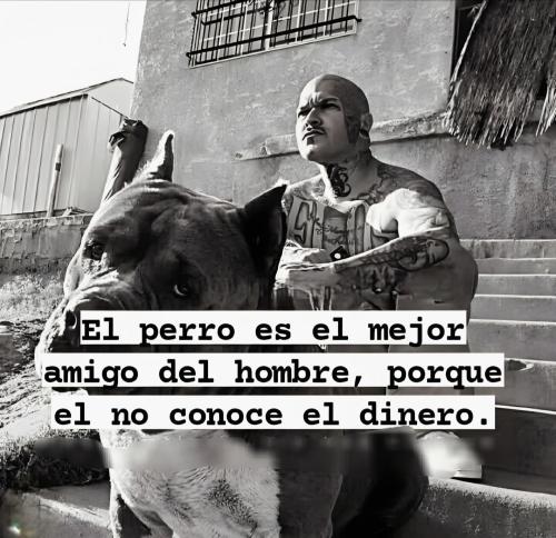 FB_IMG_1752885551579