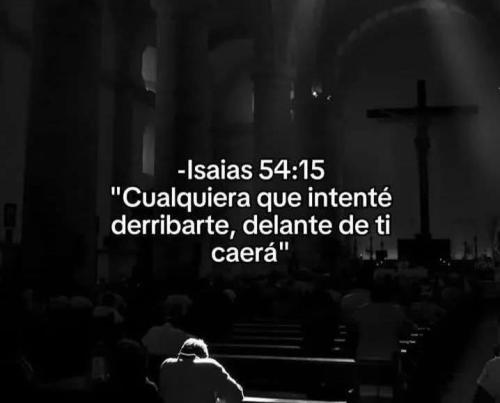 FB_IMG_1752716334212