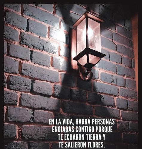 FB_IMG_1753672304962