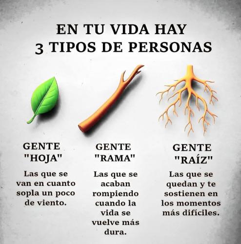 FB_IMG_1753069517855