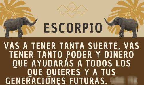 FB_IMG_1752786752678