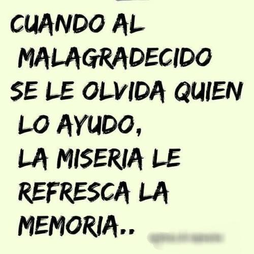 FB_IMG_1752292379081