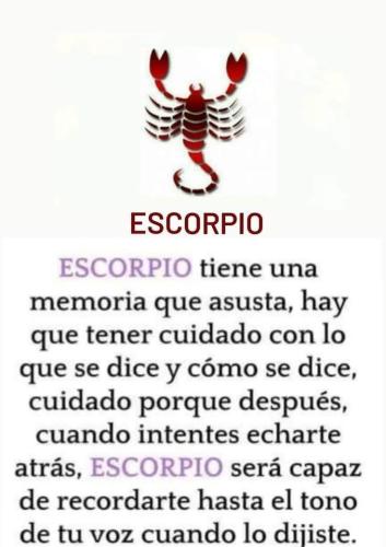 FB_IMG_1752613528457