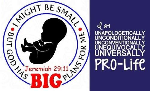 prolife1
