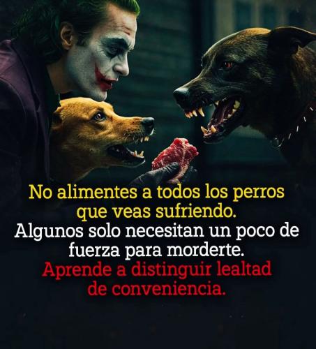 FB_IMG_1753331226033