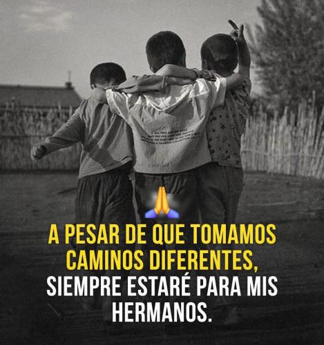 FB_IMG_1753222794778