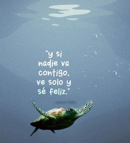 FB_IMG_1752808529338