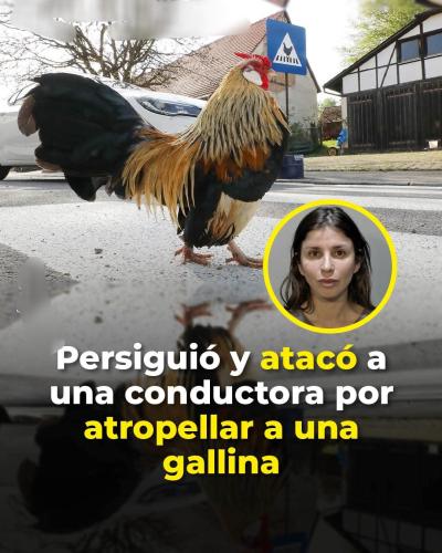 FB_IMG_1753745962225
