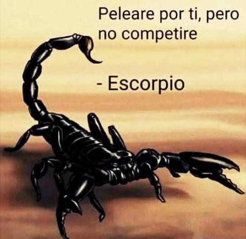 FB_IMG_1752535534457