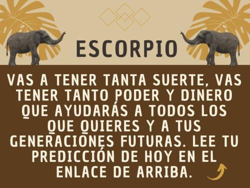FB_IMG_1752786752678