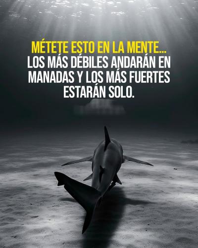 FB_IMG_1752890975558