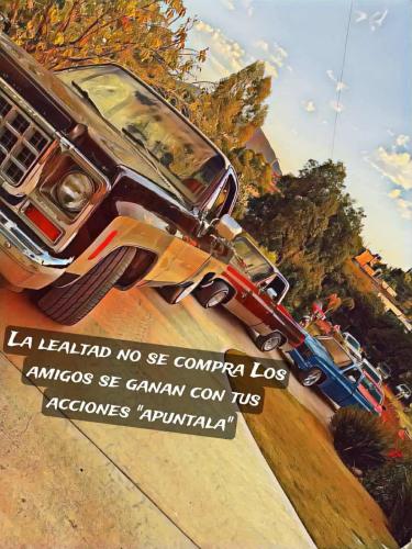 FB_IMG_1752889126206