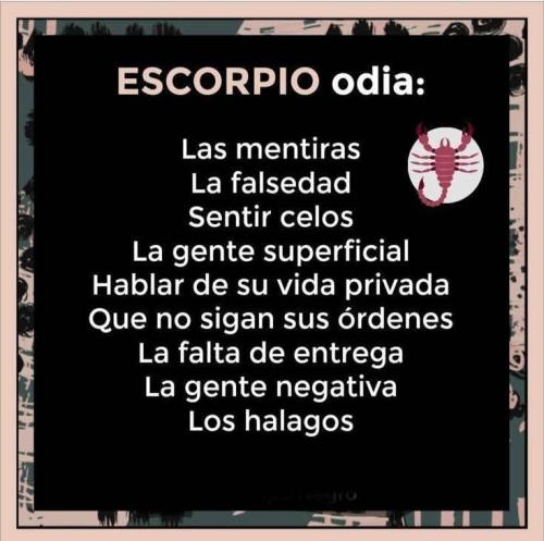 FB_IMG_1753933601470