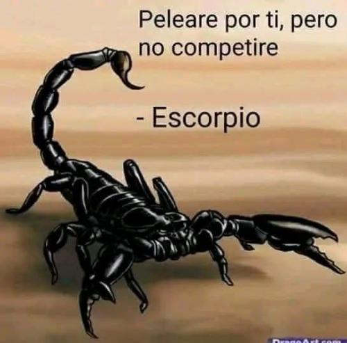 FB_IMG_1752785985995